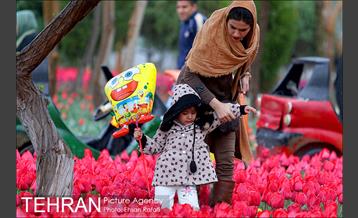 جشنواره لاله‌ها در بوستان زندگی محله هرندی 7