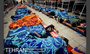 گرمخانه ها 22