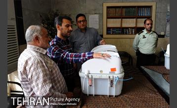 حضور مردم در انتخابات شورایاری محلات شهر تهران 7