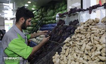 خدمات رسانی بازارهای میوه و تره‌بار 25