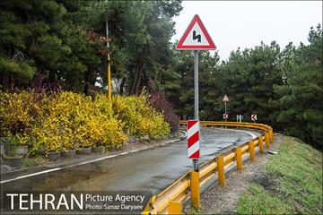 طبیعت بهاری پارک جنگلی لویزان‎  15