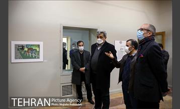 بازدید شهردار تهران از نمایشگاه«تهران از منظر هنرمندان» 17
