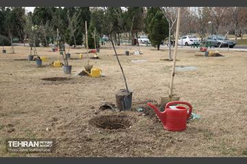 آیین پدران آسمانی  20