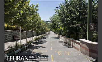 بوستان نهج البلاغه 2