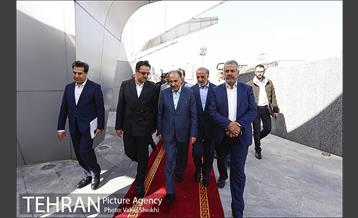 آیین کاشت درخت صلح و دوستی 3