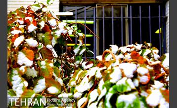 بارش پاییزی برف در ارتفاعات بوستان کوهستانی آبشار تهران‎ 5