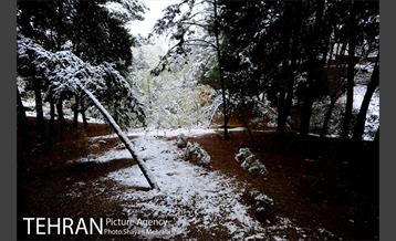 بارش برف پاییزی در بوستان طالقانی 26