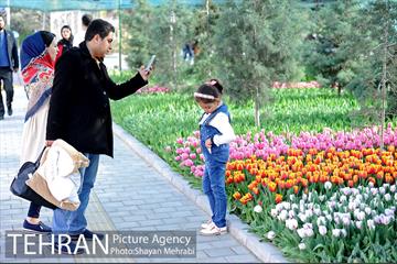 پیاده راه لاله مادران 49