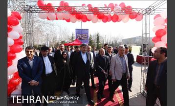 آیین کاشت درخت مادر 5