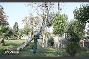 مانور آمادگی تجهیزات فضای سبز منطقه ۱۶  16
