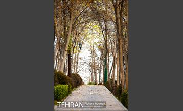 باغ راه فدک 11