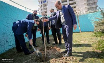 گرامیداشت سرو قامتان شهید سلامت در منطقه ۸