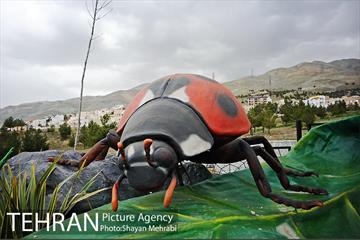 پارک حشرات غول پیکر 13
