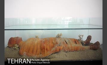 موزه «انقلاب اسلامی و دفاع مقدس» 20