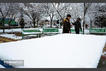 روز برفی در منطقه 8 36