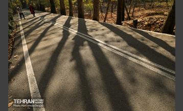 آخرین روزهای پاییزی  13