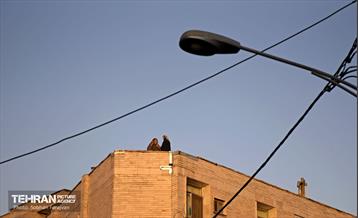 راهپیمایی یاران مهدی(عج)، یاوران رهبری 23