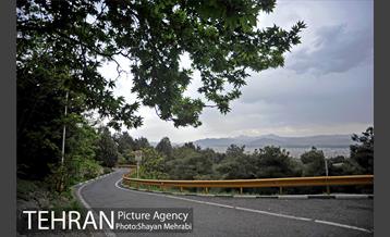 پارک جنگلی لویزان‎ 30