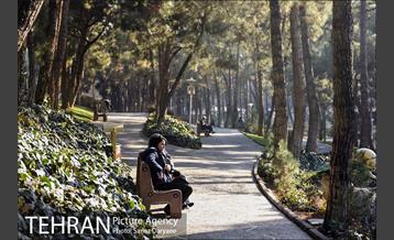 پارک ساعی 25