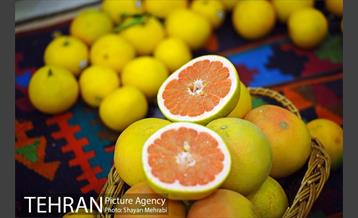 افتتاح نهمین نمایشگاه محصولات ارگانیک 47