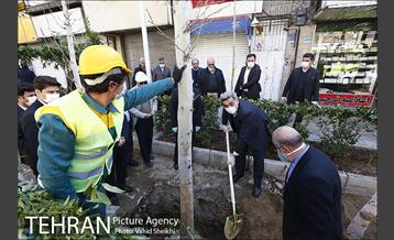 مراسم کاشت درخت در خیابان ولیعصر  15