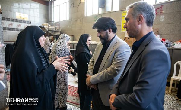 بازدید سخنگوی شهرداری تهران از فعالیت گروه‌های جهادی در منطقه 5