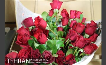 تجلیل از بانوان مرکز ارتباطات شهرداری تهران 9