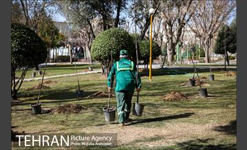 آیین درختکاری دوچرخه سواران تهران 11