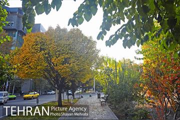 طبیعت پاییزی بلوار کشاورز 10