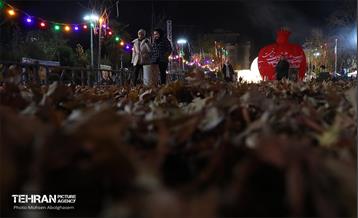 افتتاح پروژه‌های خدمات شهری و محیط زیست شهرداری منطقه ۳ 11