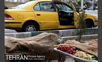 با تاکسی های شهر 37