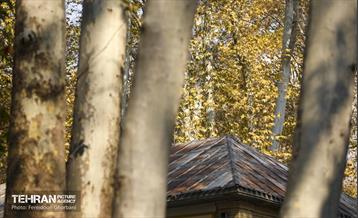 سمفونی رنگ های پاییزی - کاخ سعدآباد 35