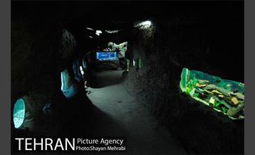 موزه حیات وحش هفت چنار 52