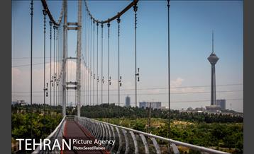 پل معلق بوستان نهج البلاغه 23