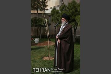 کاشت نهال توسط رهبر معظم انقلاب اسلامی 12