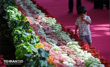 بیستمین نمایشگاه بین‌المللی گل و گیاه 42
