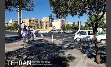 خیابان جنت آباد 6