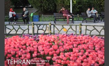 بوستان ملت 9