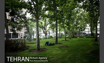 بوستان سیمرغ 6