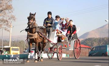 آیین یلدای مهربانی و کاشت نهال در بوستان سرخه حصار 8