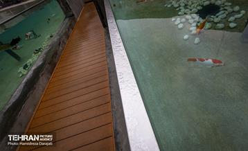 اقیانوس پارک  24