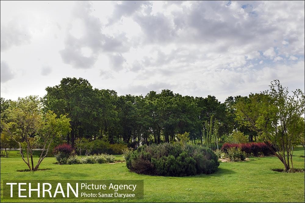 بوستان پلیس 33