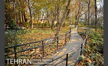 پاییز باغ ایرانی 29