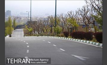 روز طبیعت متفاوت در شهر تهران 2 14