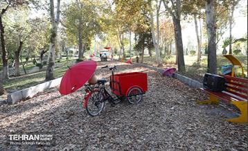 گذر پاییزی بوستان بعثت 31