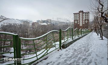 درکه پس از بارش برف  1