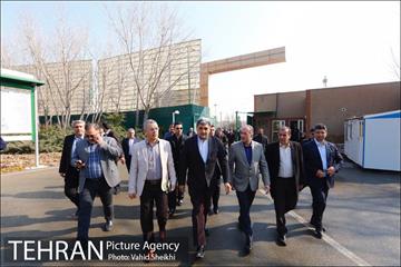 آیین کاشت درخت مادر 2