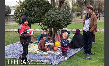 روز طبیعت بارانی در بوستان رازی 9