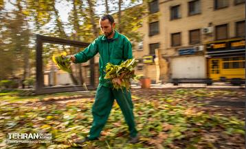 گذرگاه های پاییزی پایتخت - باغ فردوس  20