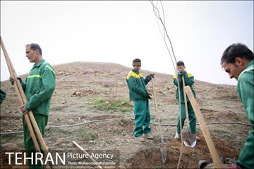 آئین کاشت نهال در بوستان جنگلی سرخه حصار 21